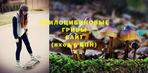синтетический гашиш Заводоуковск