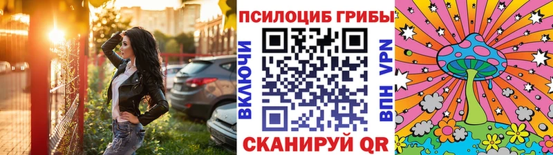 Купить где  Константиновск  Галлюциногенные грибы Psilocybine cubensis 
